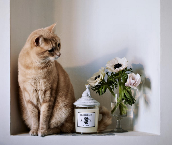 ASTIER DE VILLATTE // Scented Candle Alger – N°2